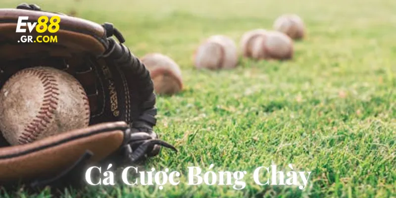 Chiến lược cược bóng chày đỉnh cao