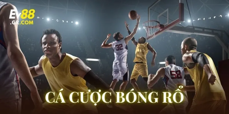 Lời khuyên vàng để soi kèo Cá Cược Bóng Rổ hiệu quả