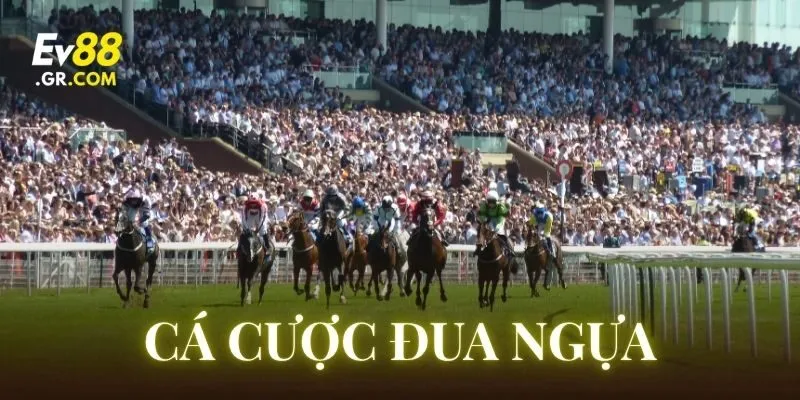 Cá Cược Đua Ngựa – Cẩm Nang Nhập Môn Từ EV88